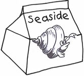 Seaside kids bible devotions